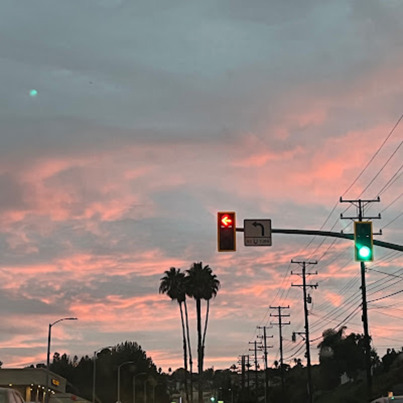 Meet your Posher, Keira - Picture 1 of 1